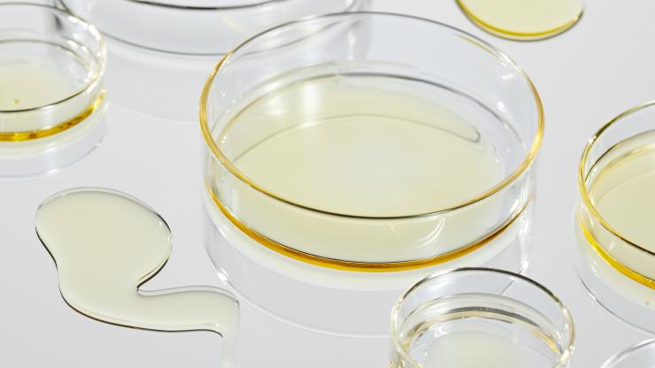 body oil in petri dish